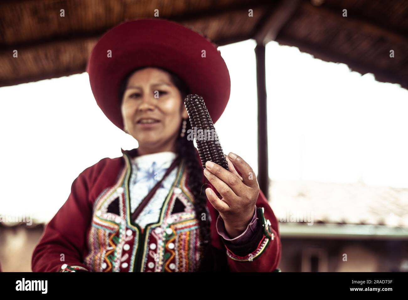 La femme de tisserand native présente des vêtements traditionnels pour le maïs-labyrinthe violet Banque D'Images