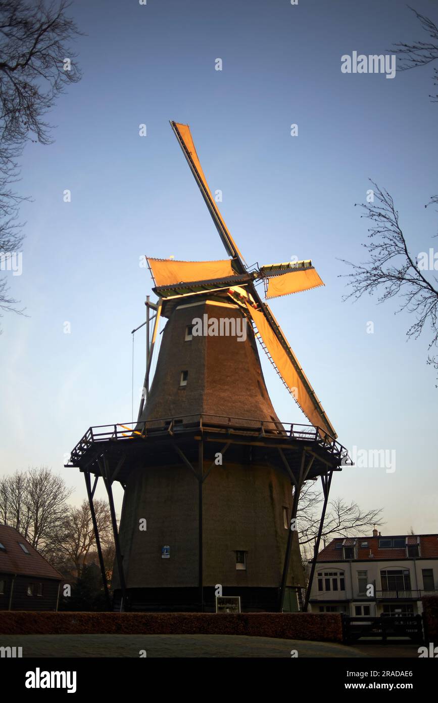 Moulin à vent hollandais typique pendant le coucher du soleil le beau jour en soleil d'automne Banque D'Images