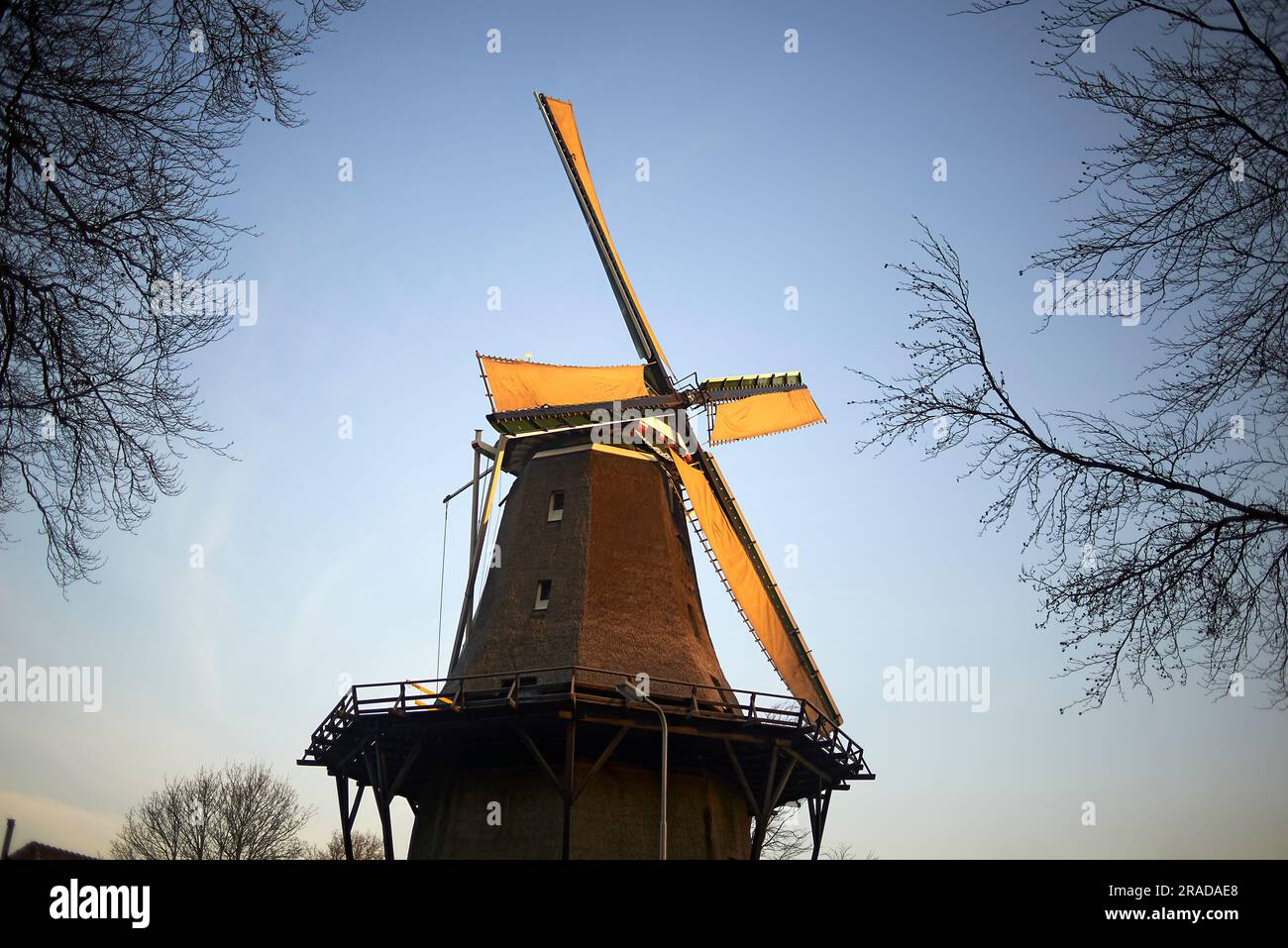 Moulin à vent hollandais typique pendant le coucher du soleil le beau jour en soleil d'automne Banque D'Images