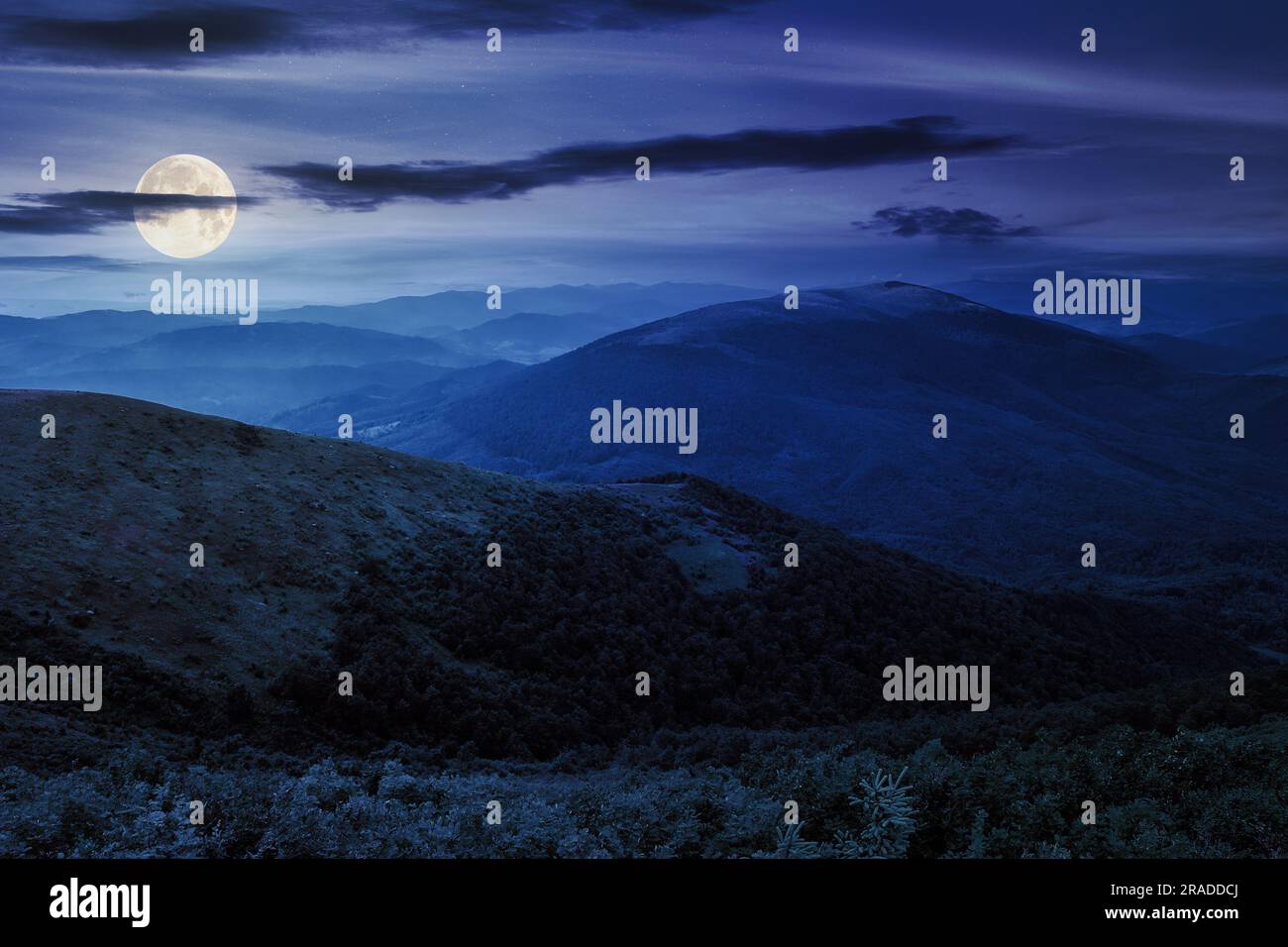 paysage d'été la nuit. Forêt de conifères au pied de la montagne Bald en pleine lune Banque D'Images paysage d'été la nuit. Forêt de conifères au pied de la montagne Bald en pleine lune Banque D'Images