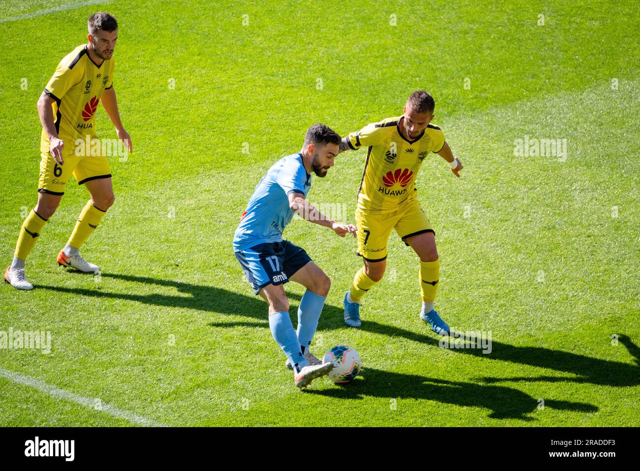 Wellington Phoenix FC vs Sydney FC en A-League au Wellington Regional Stadium à Wellington, Nouvelle-Zélande le 21 décembre 2019 Banque D'Images