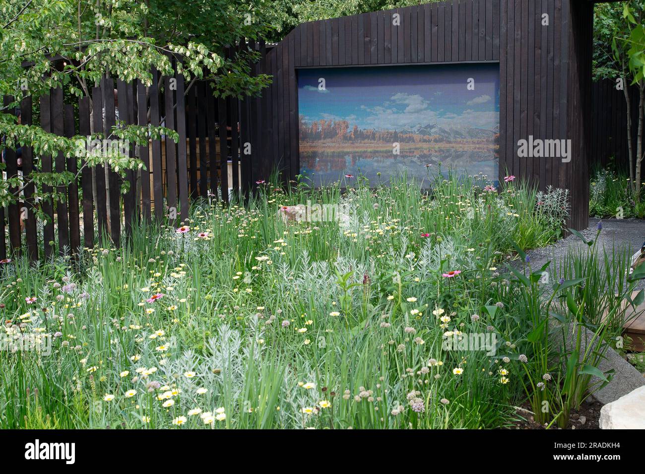 East Molesey, Surrey, Royaume-Uni. 3rd juillet 2023. C'était un grand jour et des célébrations tout autour pour les designers de l'America's Wild, présenté par Trailfinders et visitez le jardin d'exposition des États-Unis à la RHS Hampton court Palace Garden Festival Press Day. Le jardin a remporté le prix de la meilleure rose Tudor du salon, la meilleure construction et une médaille d'or. Le jardin a été conçu par Jude Emily Grayshaw, Imogen Perreau Callf et Jude Yeo. Crédit : Maureen McLean/Alay Live News Banque D'Images