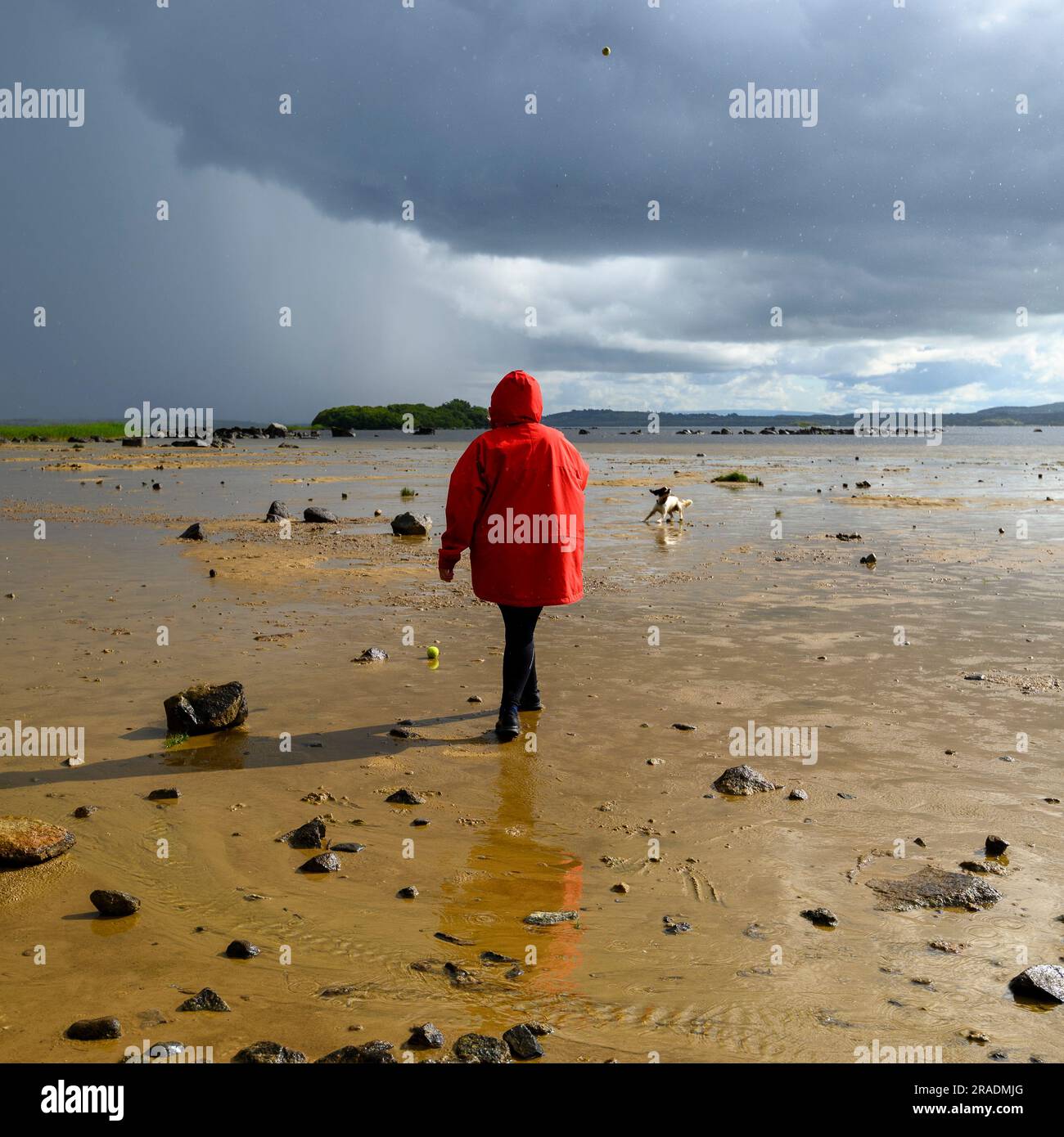 Femme sous un manteau rouge exerçant un chien sur la rive de Lough Cullin, Pontoon, comté de Mayo, Irlande avec des nuages de tempête au-dessus Banque D'Images