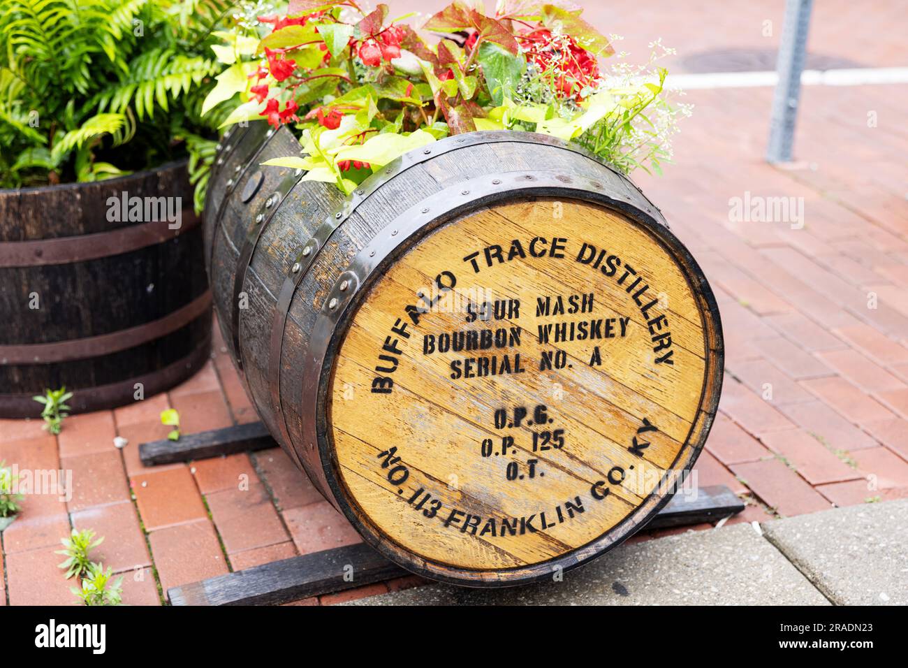 Un baril de whisky bourbon de purée aigre de Buffalo Trace Distillery transformé en planteur dans le centre-ville de Frankfort, Kentucky, États-Unis. Banque D'Images