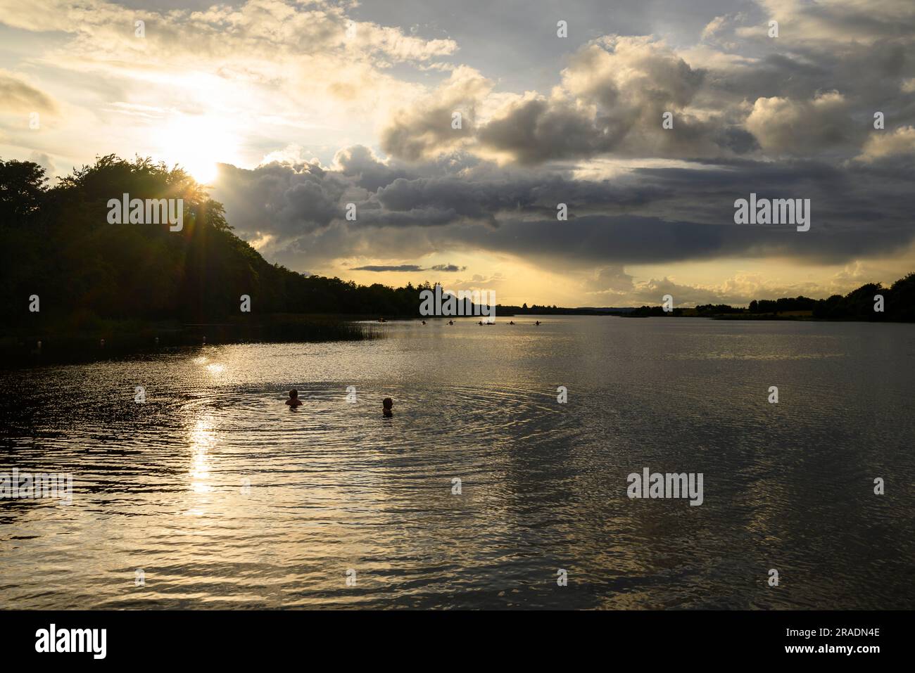 Nageurs d'eau froide à Errit Lough, comté de Roscommon, Irlande, lors d'une soirée d'été Banque D'Images