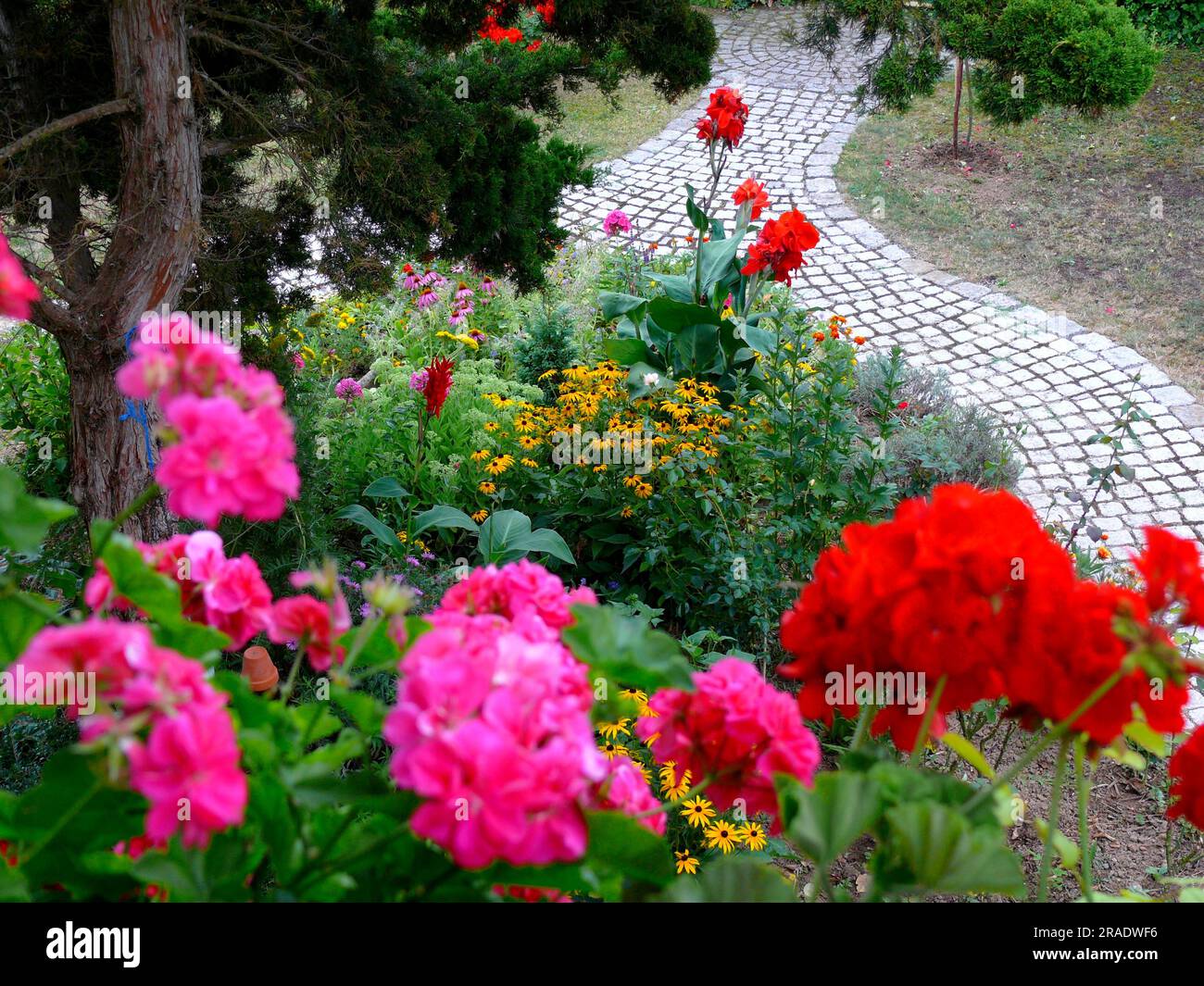 Jardin vivace en pleine floraison en été, chemin de jardin Banque D'Images