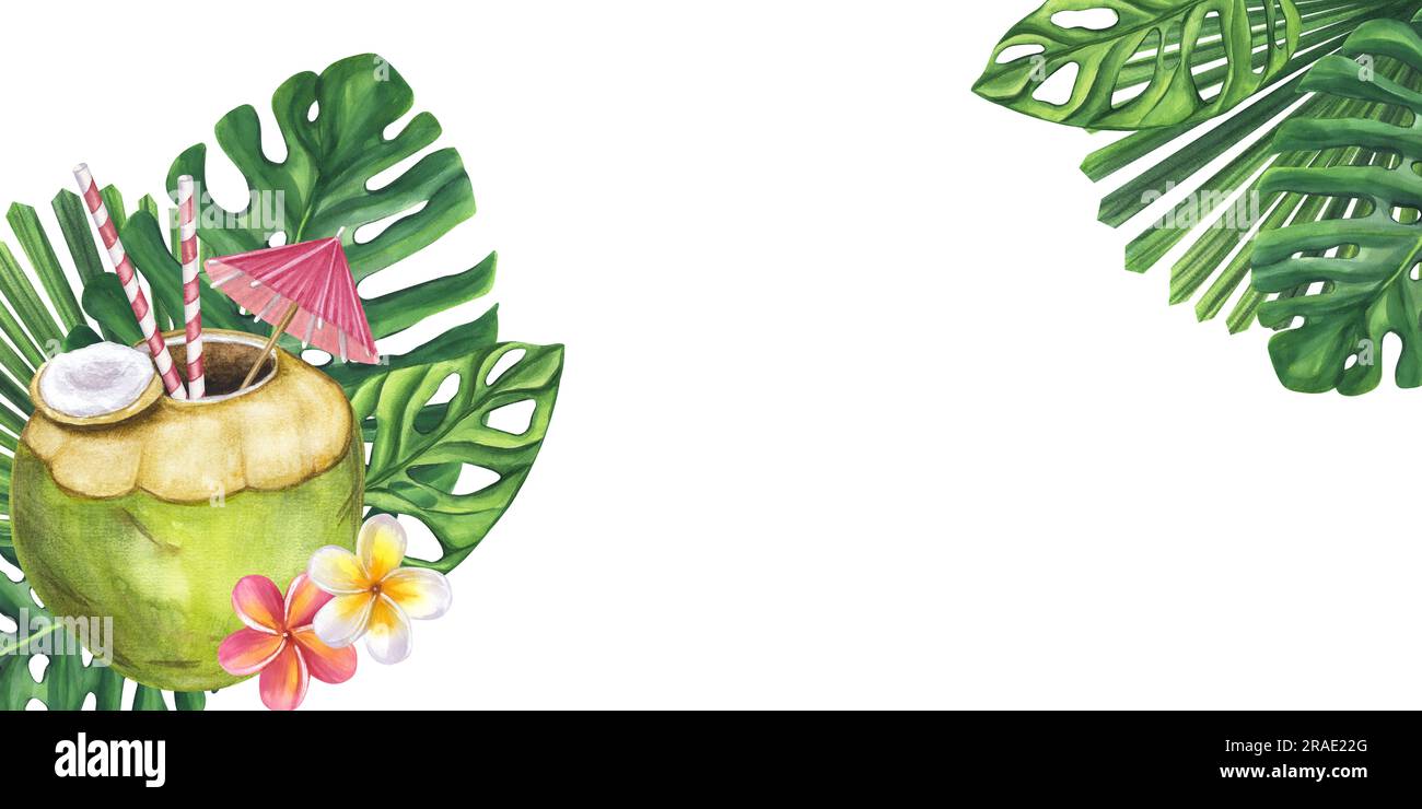 Bannière cocktail vert noix de coco paille parapluie boisson de plage. Feuilles de Monstera, fleurs de frangipani. Illustration aquarelle dessinée à la main isolée sur une bande blanche Banque D'Images