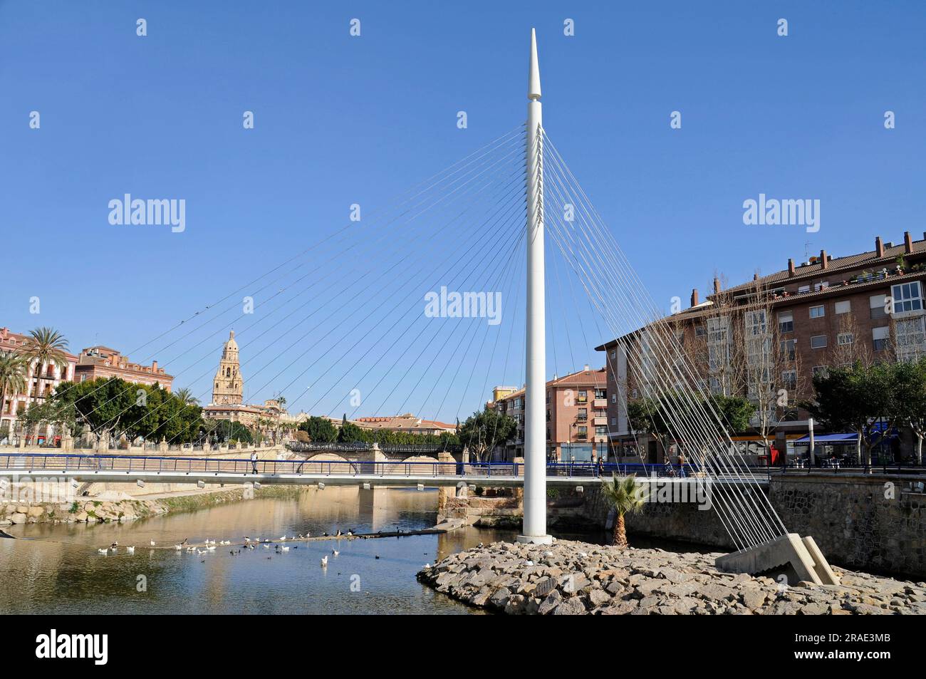 Pont piétonnier, Rio Seguro, Murcie, Espagne Banque D'Images