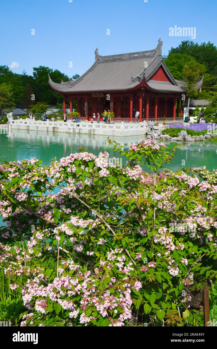 Canada, Québec, Montréal, jardin botanique, jardin chinois, Banque D'Images