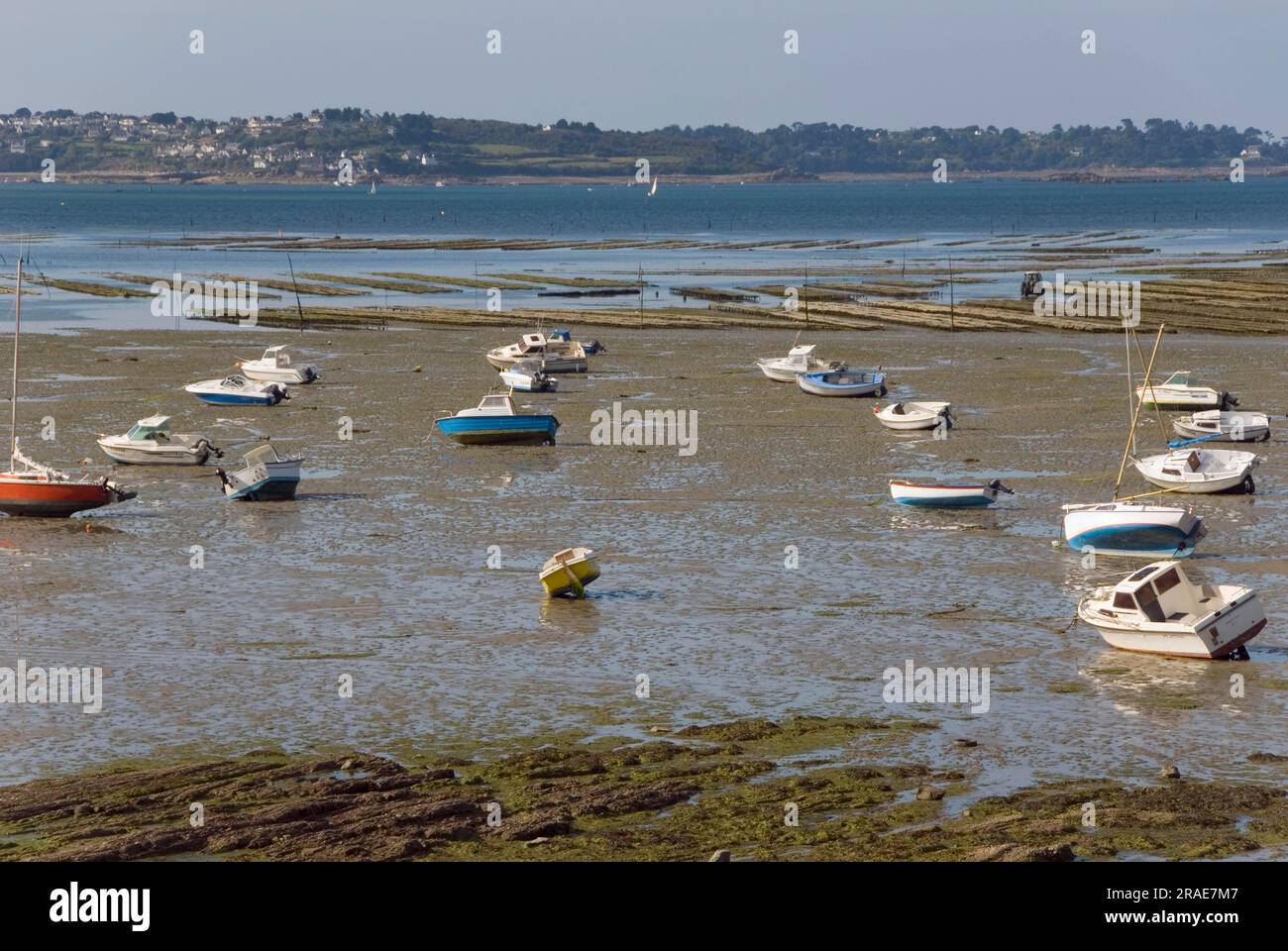 Bateaux dans les vasières, Port Lazo, Baie de Paimpol, Baie de Saint Brieuc, Bretagne, France Banque D'Images