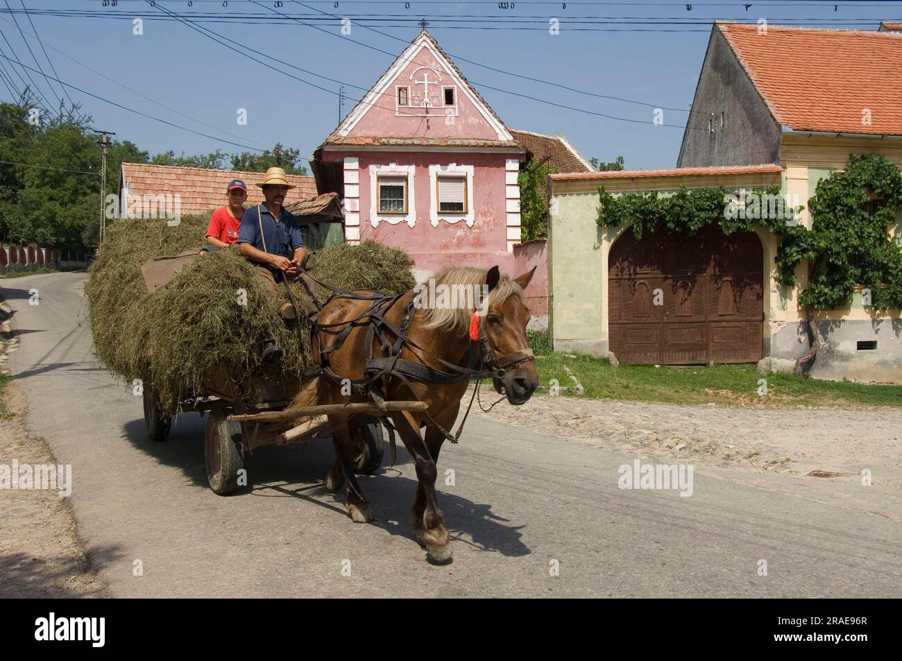 Agriculteur avec charrette tirée par des chevaux, Transylvanie, Sibiel, Transylvanie, Roumanie Banque D'Images