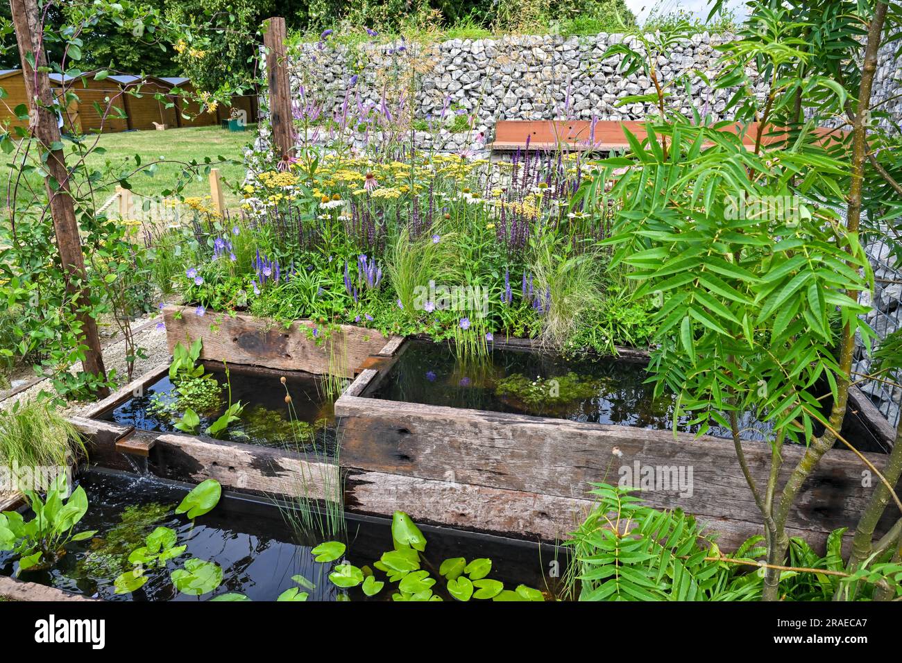 Palais de Hampton court, Surrey, Royaume-Uni sur 03 juillet 2023. Le jardin Get Started - entretenir la nature dans le jardin de la ville au RHS Hampton court Palace Garden Festival au Hampton court Palace, Surrey, Royaume-Uni sur 03 juillet 2023. Credit: Francis Knight/Alay Live News Banque D'Images