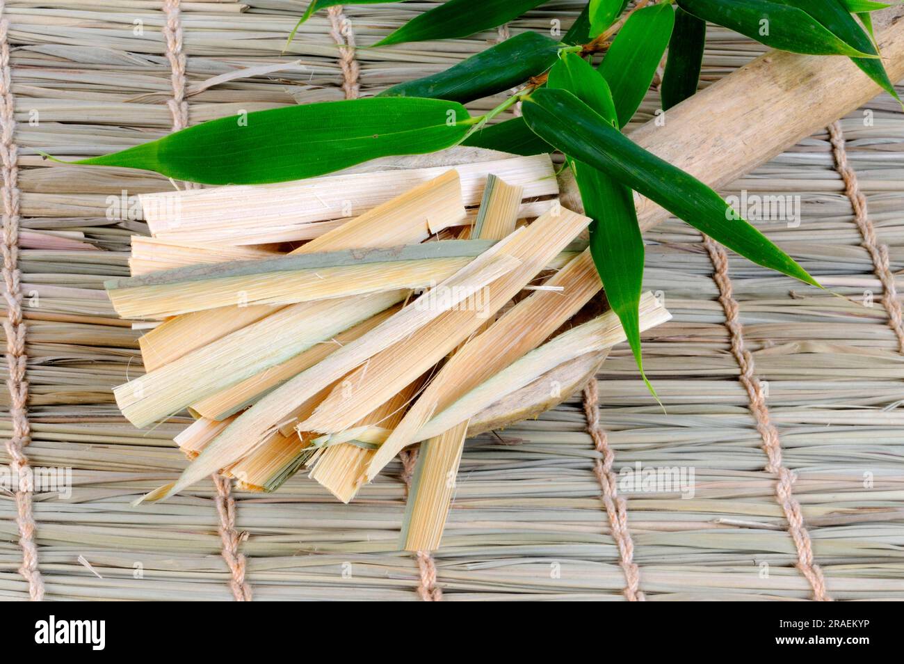 Bandes de bambou (Bambusae Caulis à Taeniam), Zhu Ru Banque D'Images