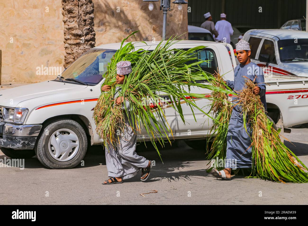 Deux jeunes hommes transportent des plantes herbeuses sur la route de Nizwa souk, Oman, péninsule arabe, Asie Banque D'Images