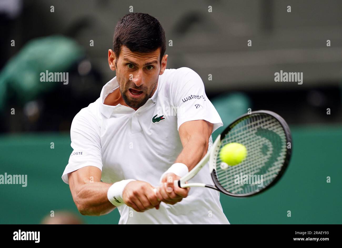 Novak Djokovic en action contre Pedro Cachin (non représenté) le premier jour des Championnats de Wimbledon 2023 au All England Lawn tennis and Croquet Club à Wimbledon. Date de la photo: Lundi 3 juillet 2023. Banque D'Images Novak Djokovic en action contre Pedro Cachin (non représenté) le premier jour des Championnats de Wimbledon 2023 au All England Lawn tennis and Croquet Club à Wimbledon. Date de la photo: Lundi 3 juillet 2023. Banque D'Images