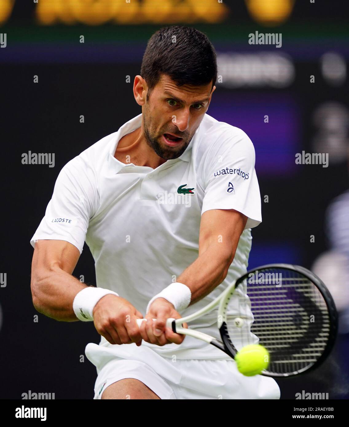 Novak Djokovic en action contre Pedro Cachin (non représenté) le premier jour des Championnats de Wimbledon 2023 au All England Lawn tennis and Croquet Club à Wimbledon. Date de la photo: Lundi 3 juillet 2023. Banque D'Images Novak Djokovic en action contre Pedro Cachin (non représenté) le premier jour des Championnats de Wimbledon 2023 au All England Lawn tennis and Croquet Club à Wimbledon. Date de la photo: Lundi 3 juillet 2023. Banque D'Images
