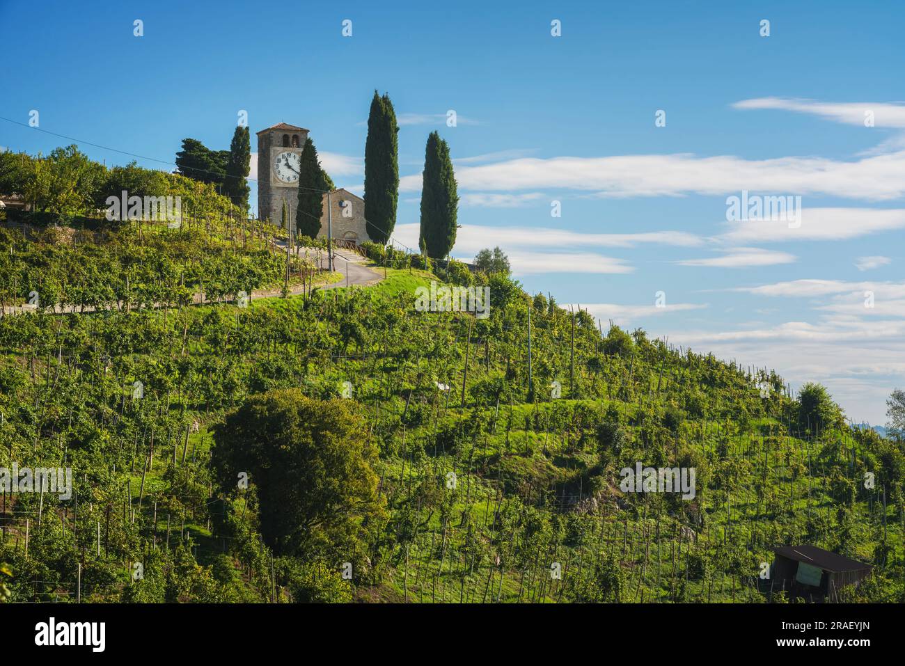 Église San Vigilio au sommet de la colline du vignoble de Prosecco. Valdobbiadene et Conegliano ancien territoire des vins, Col San Martino, municipalité de Farra d Banque D'Images