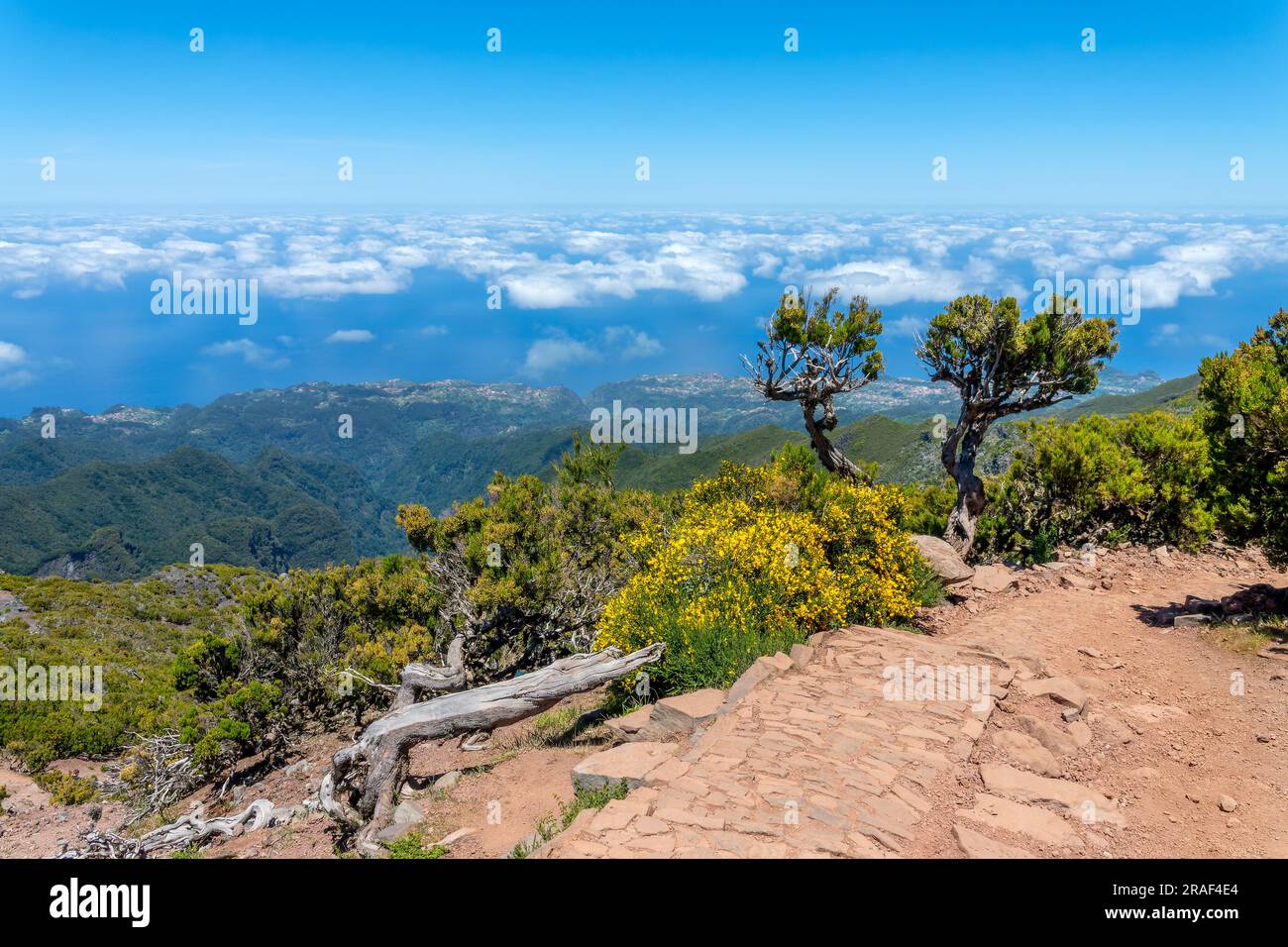 Paysage pittoresque sur la montagne Pico Ruivo à Madère, Portugal Banque D'Images