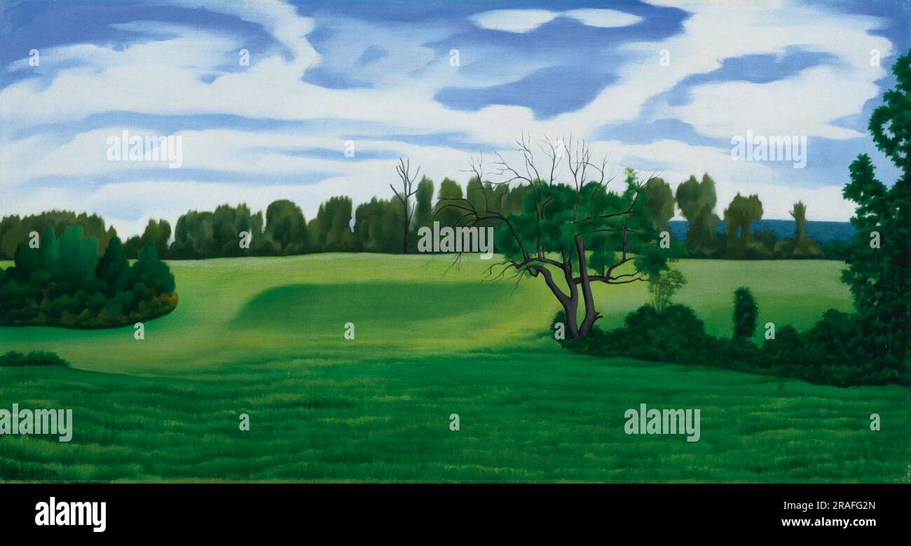 PAYSAGE D'ÉTÉ Banque D'Images
