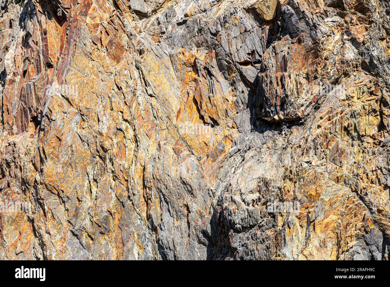 Rochers colorés (ardoise ?) Sur les falaises de Trefrin (Trevine) dans le parc national de la côte de Pembrokeshire, pays de Galles, Royaume-Uni Banque D'Images