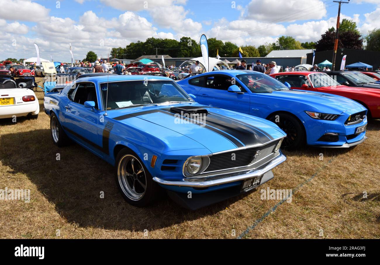 Classic 1970 Ford Mustang Boss 302, MUC 89L voiture garée sur l'herbe. Banque D'Images