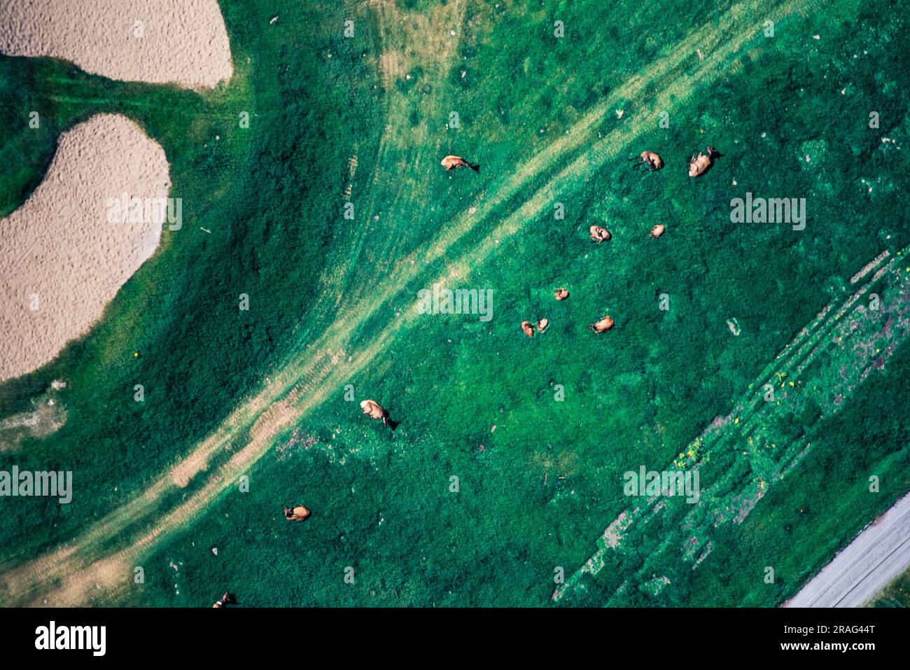 Image aérienne de Banff, Alberta, Canada Banque D'Images