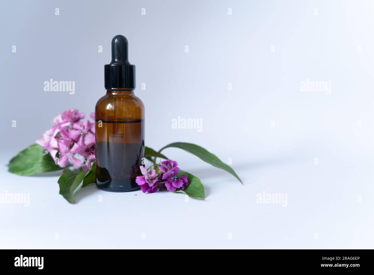 Flacon cosmétique de sérum avec peptides et rétinol Banque D'Images