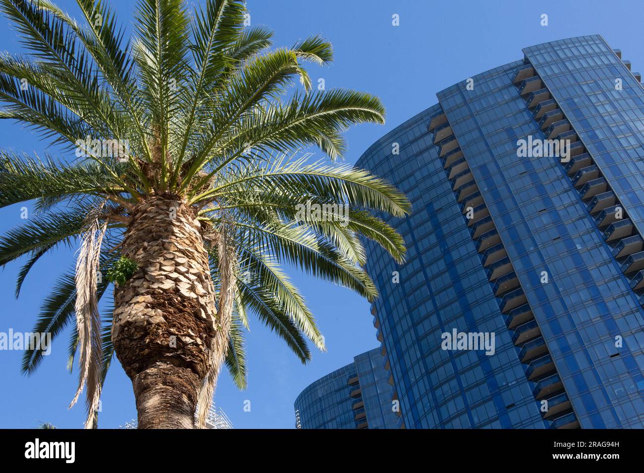 CIRCA LA Apartments dans le centre-ville de Los Angeles, CA, Etats-Unis Banque D'Images CIRCA LA Apartments dans le centre-ville de Los Angeles, CA, Etats-Unis Banque D'Images