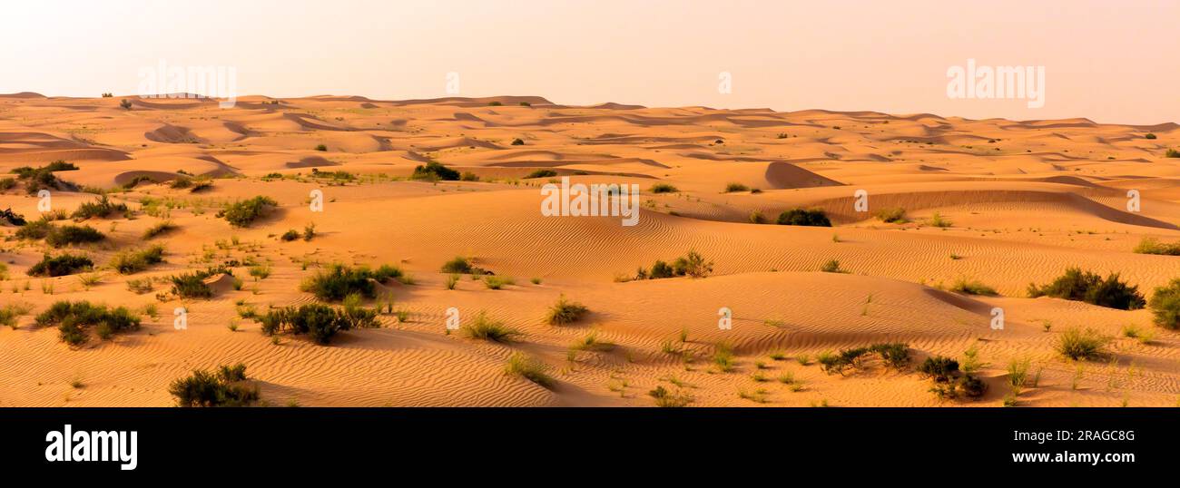 Paysage désertique Dubai, Émirats Arabes Unis Banque D'Images