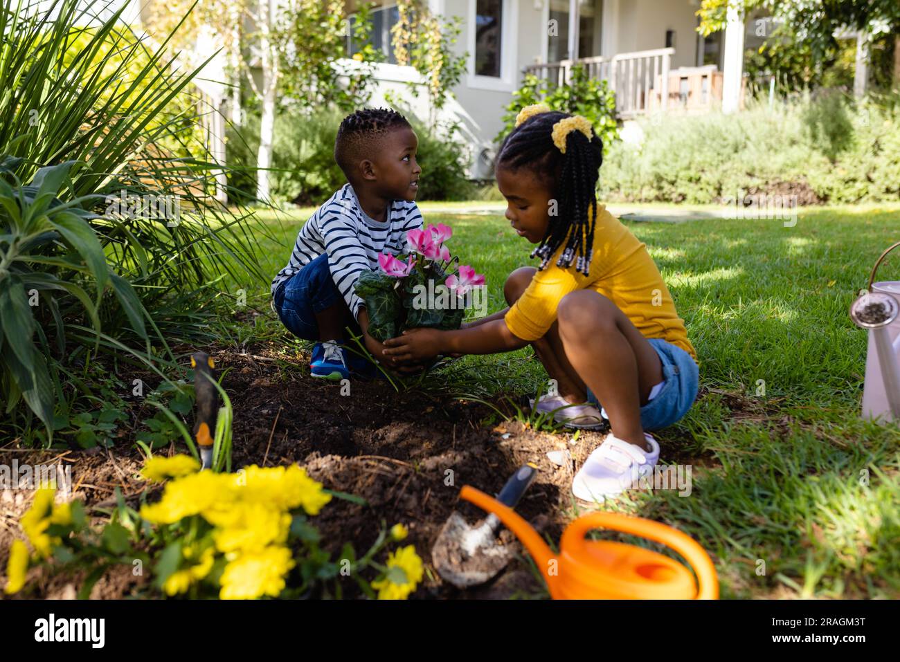 Frère et sœur afro-américains plantant des fleurs fraîches sur des terres herbeuses dans la cour à l'extérieur de la maison Banque D'Images