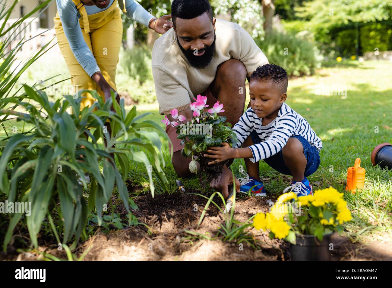 Femme afro-américaine debout par père et fils plantant des fleurs fraîches dans le champ à la cour Banque D'Images