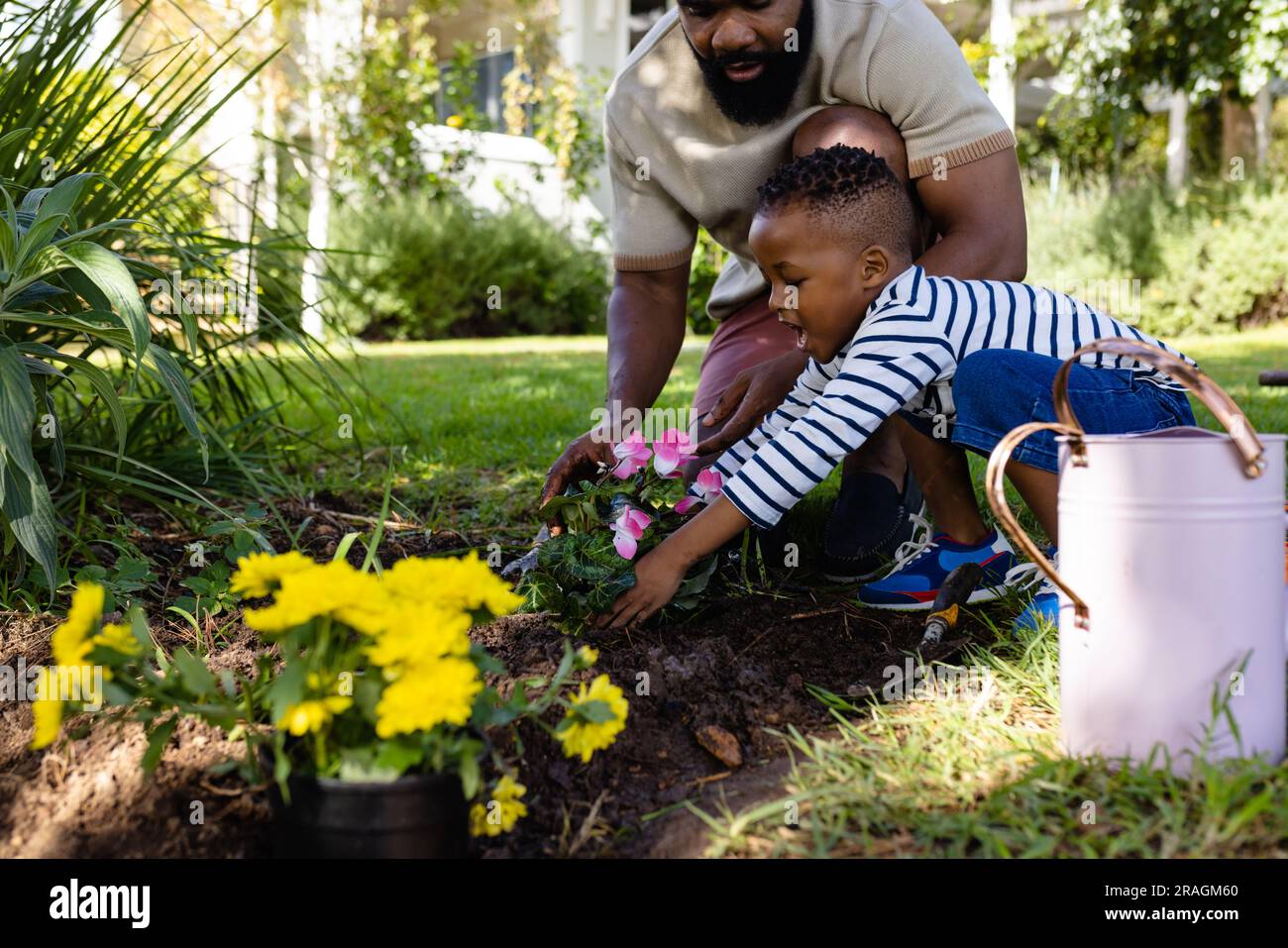 Père afro-américain aidant son fils à planter des fleurs fraîches sur le champ dans l'arrière-cour Banque D'Images