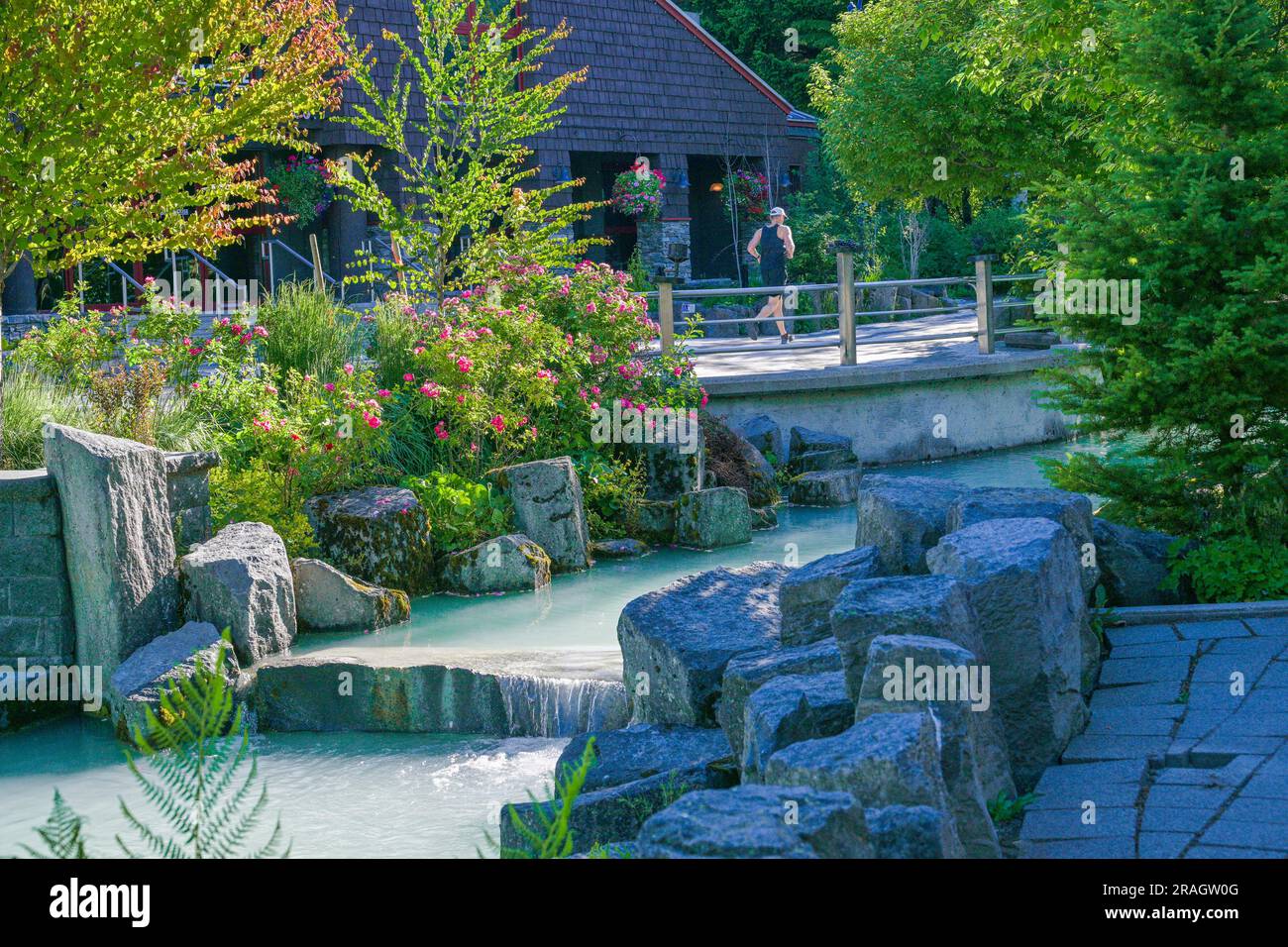 Man jogging, Whistler, Colombie-Britannique, Canada Banque D'Images