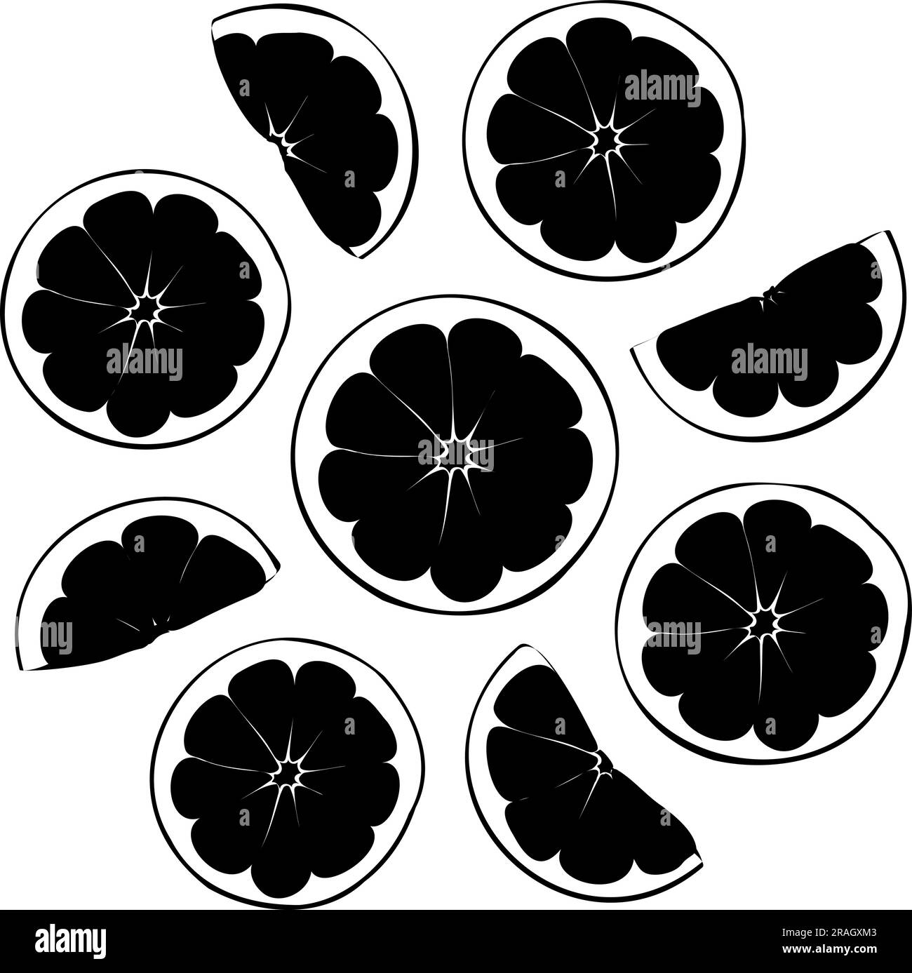 Forme vectorielle des tranches d'orange fraîches. Illustration vectorielle de coupes d'agrumes frais de neuf morceaux d'orange. Image d'une salade de fruits d'été de tranches d'orange Illustration de Vecteur