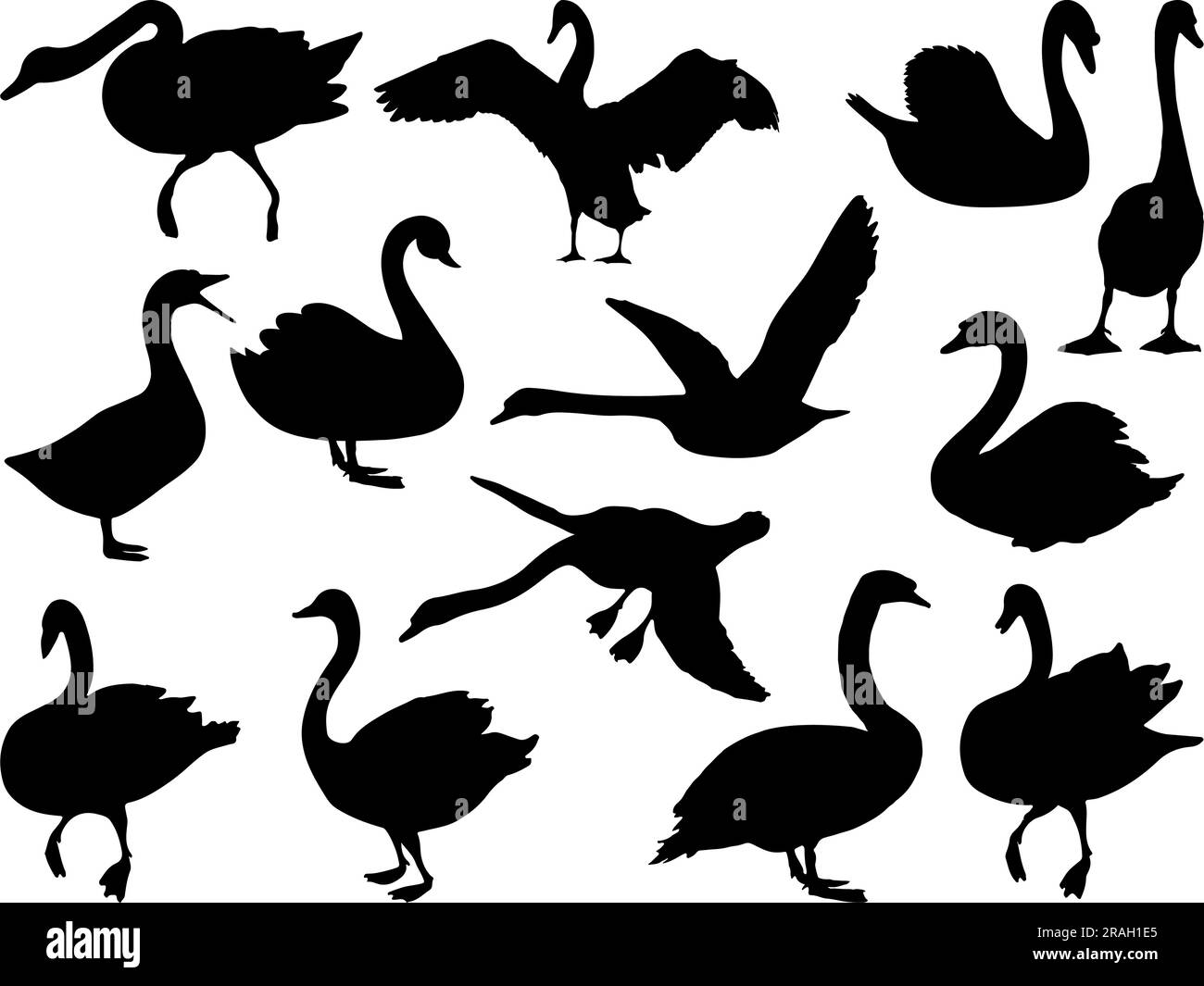 Set de Swan Silhouette Illustration de Vecteur
