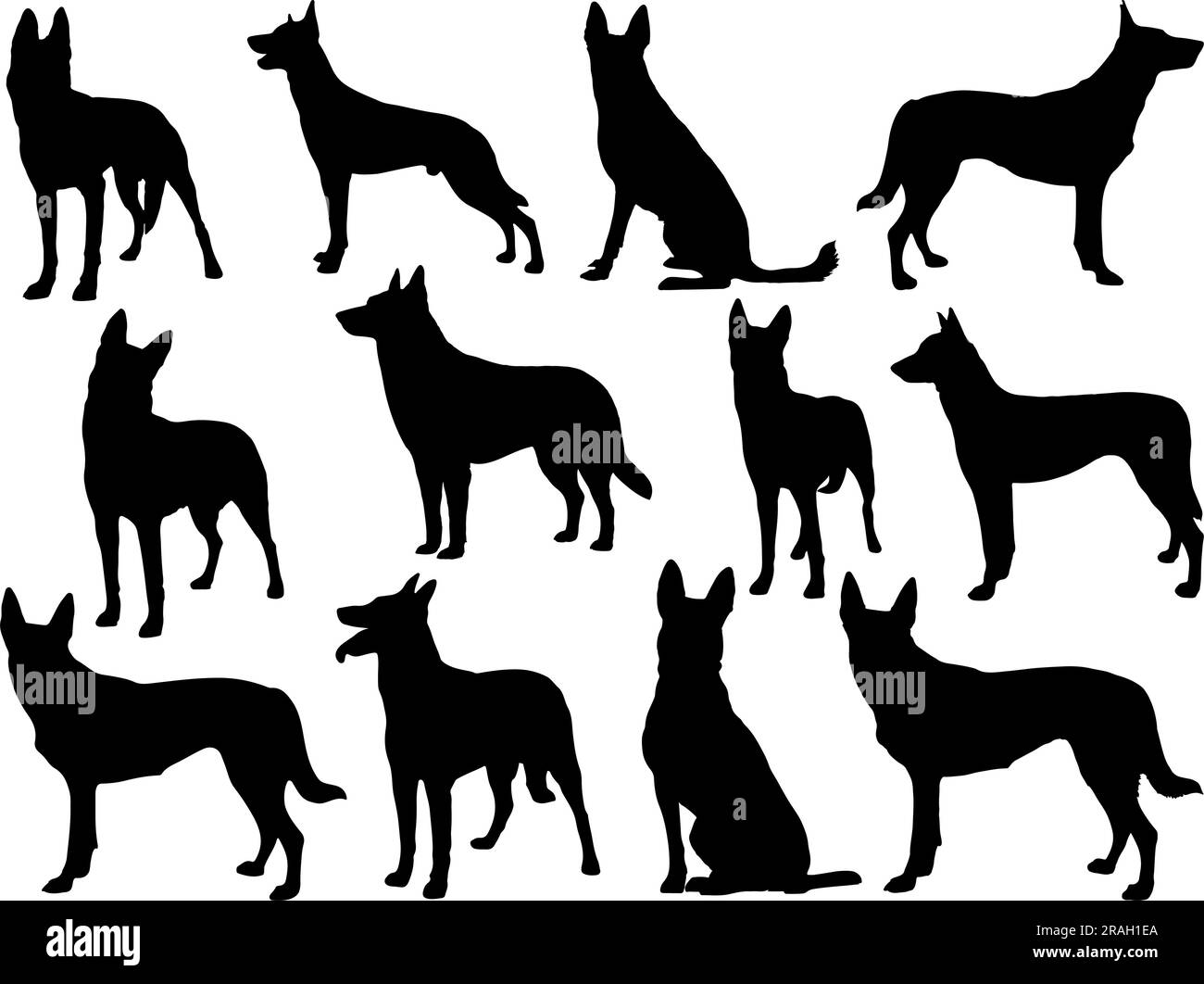 Ensemble de Silhouette belge Malinois Illustration de Vecteur