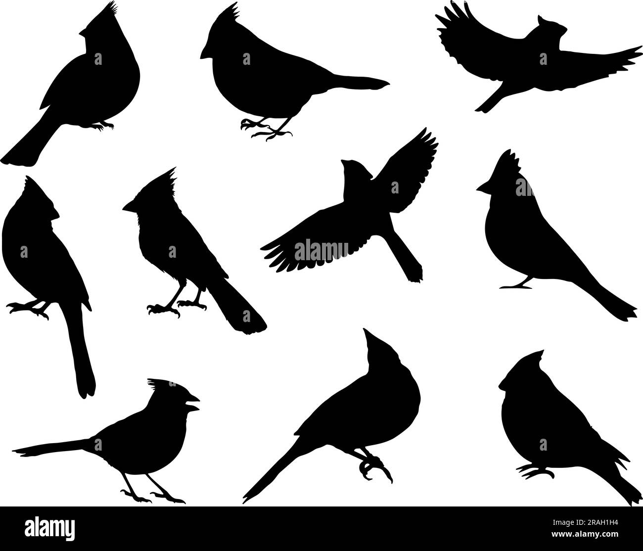 Set de Cardinal Bird Silhouette Illustration de Vecteur