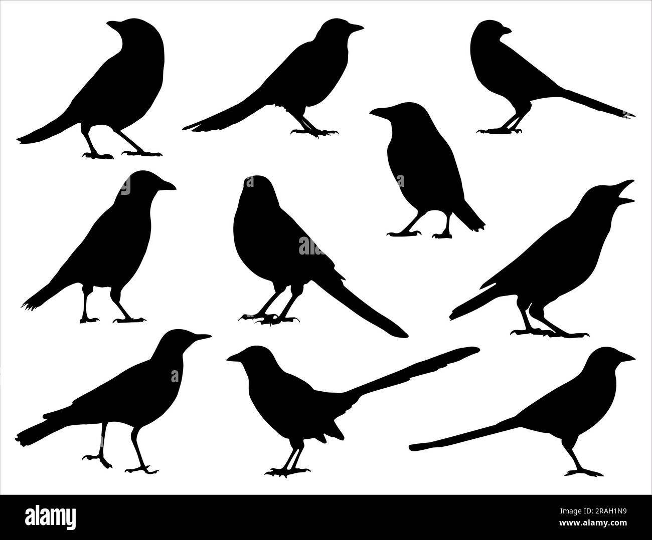 Ensemble de silhouette d'oiseau Magpie Illustration de Vecteur