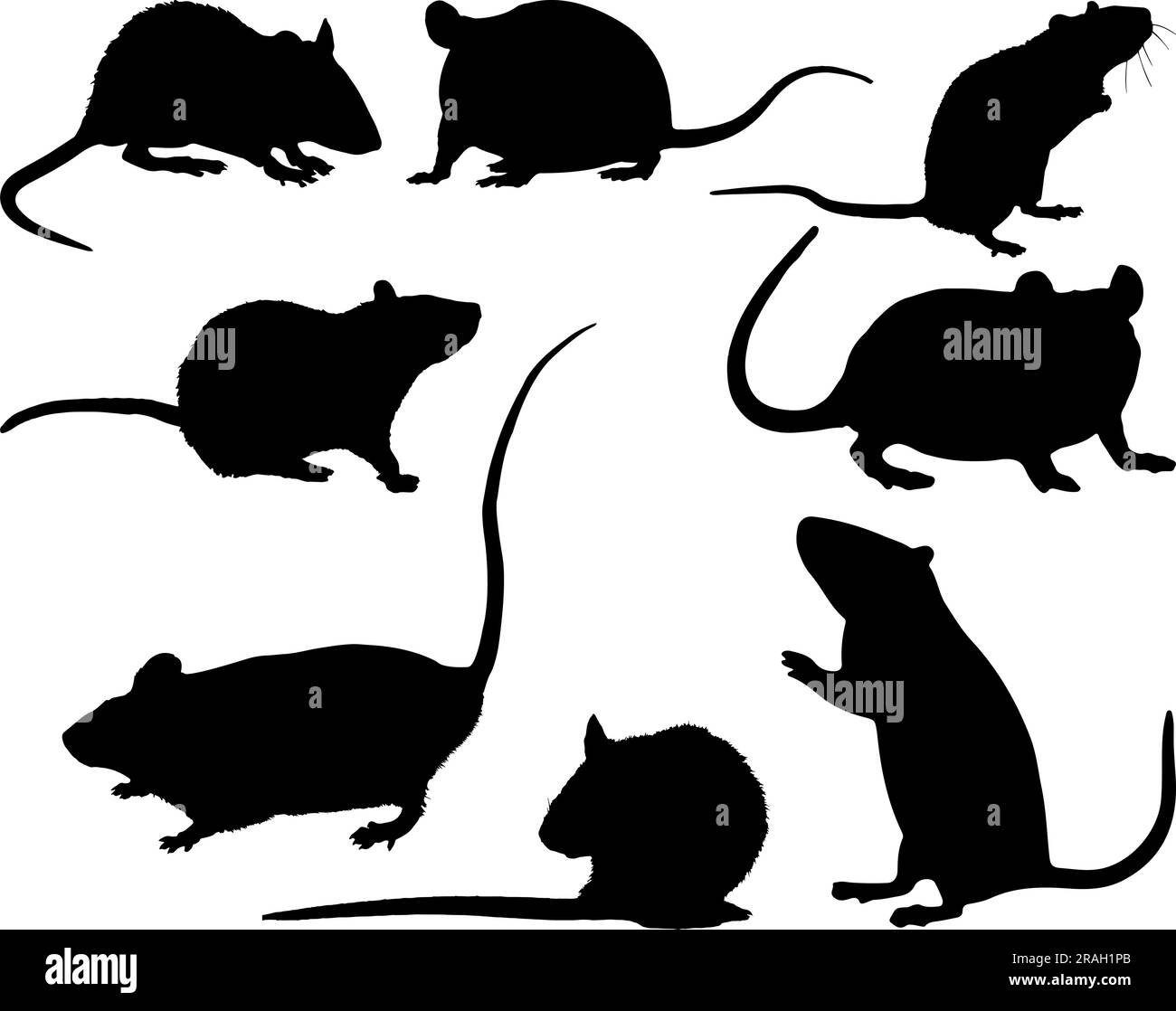 Ensemble de silhouette de rat Illustration de Vecteur