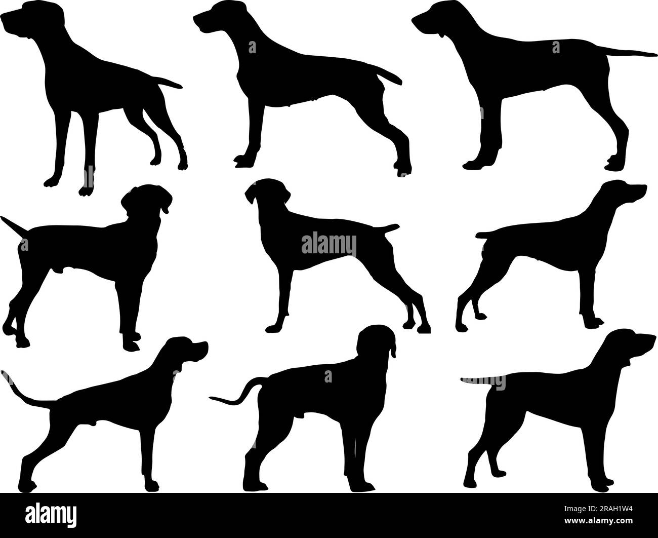 Ensemble de silhouette de chien pointeur Illustration de Vecteur