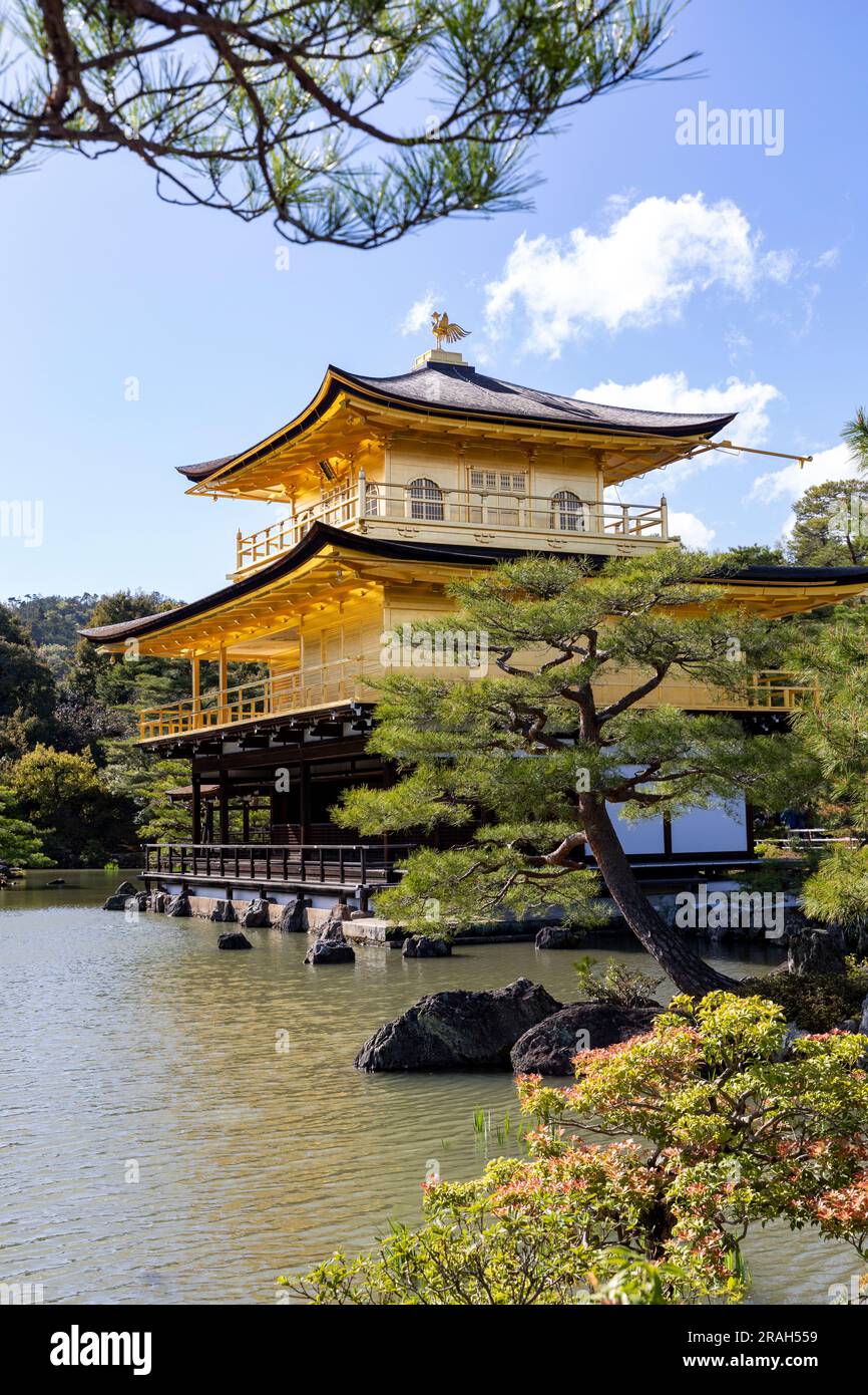 Le temple Kinkaku-ji le temple du Pavillon d'or à Kyoto, Japon, printemps 2023, un temple bouddhiste zen site du patrimoine mondial, Japon, Asie. Banque D'Images