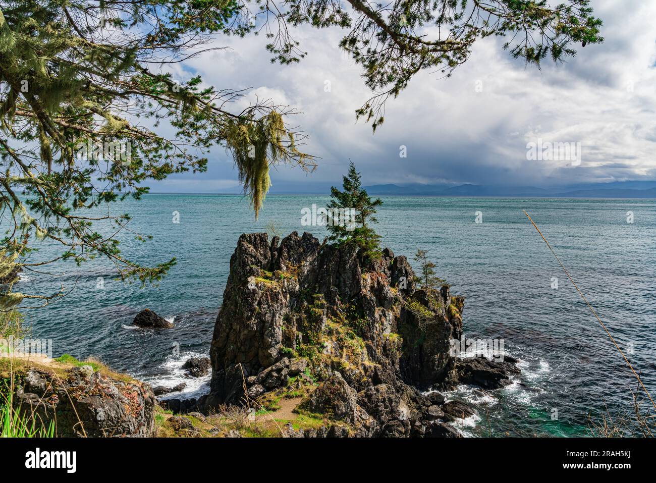 Le rivage rocheux de l'île de Vancouver, à Creyke point, dans le parc régional East Sooke, Colombie-Britannique, Canada. Banque D'Images