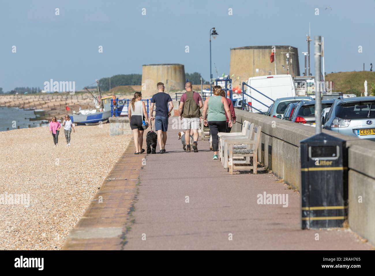 Amis dehors les chiens marchant le long d'une promenade en bord de mer Banque D'Images