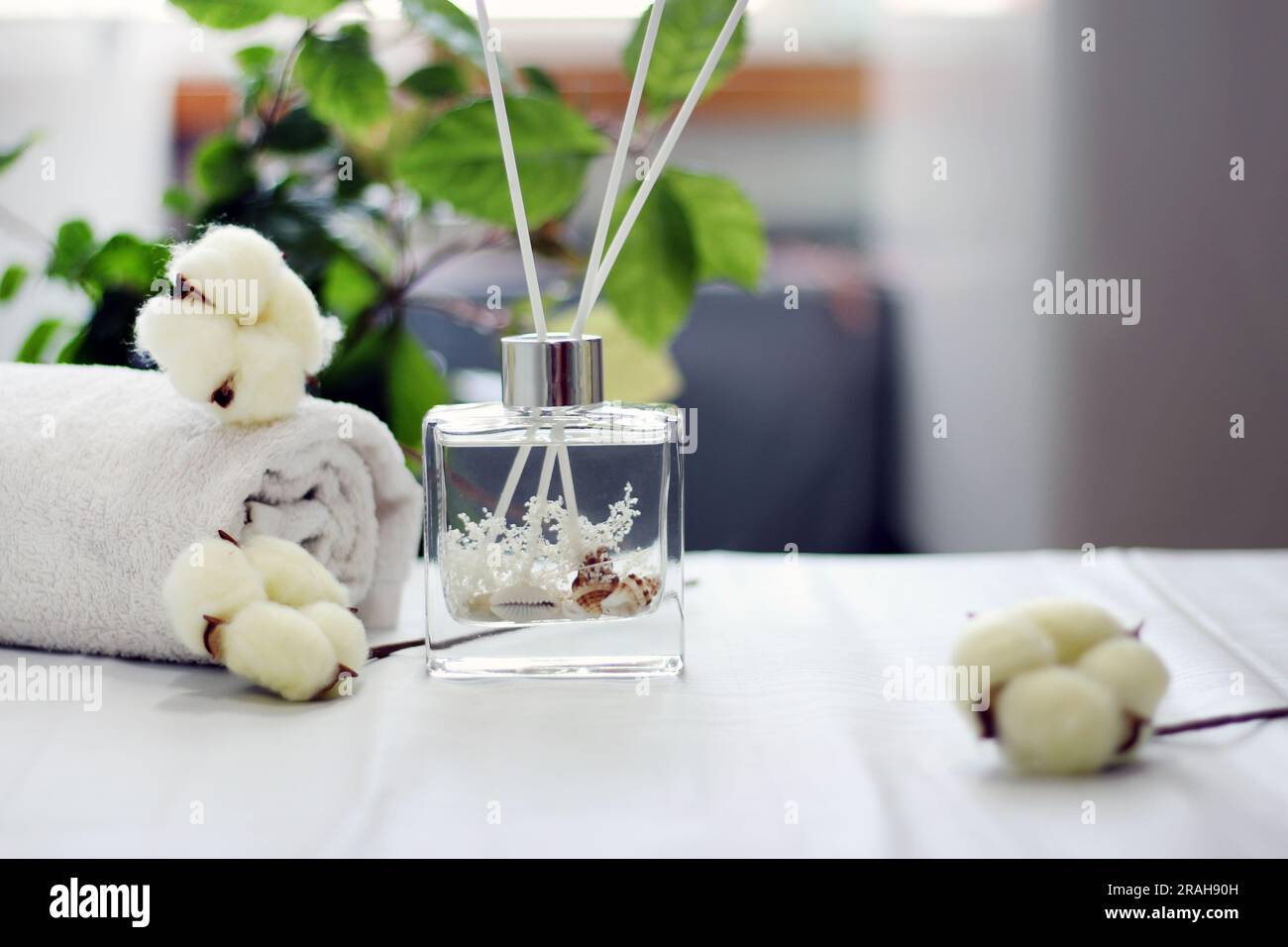 Diffuseur de bouteille en verre transparent avec coquilles de mer et concept de parfum coton Banque D'Images