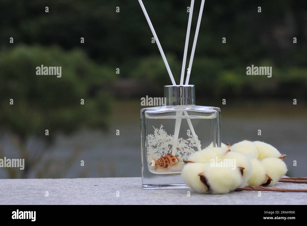 Diffuseur de bouteille en verre transparent avec coquilles de mer et concept de parfum coton Banque D'Images