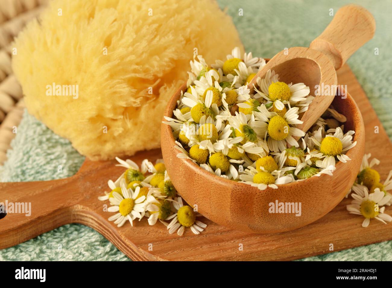 Fleurs de camomille dans un bol en bois avec cuillère et éponge sur une planche à découper - ingrédient de beauté naturelle Banque D'Images