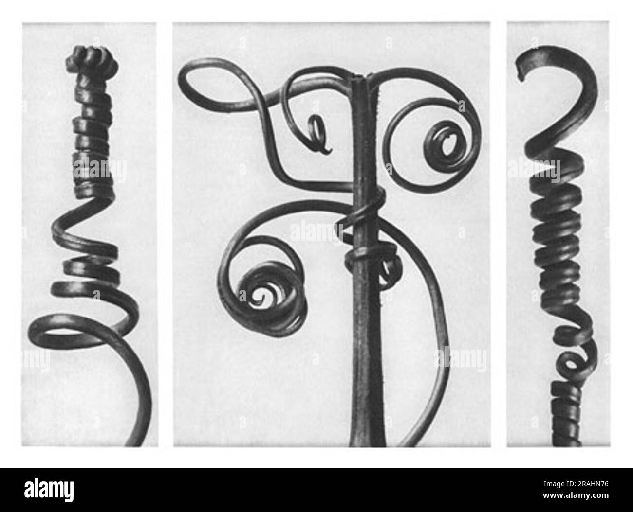 Formes d'art dans la nature 53 1928 par Karl Blossfeldt Banque D'Images