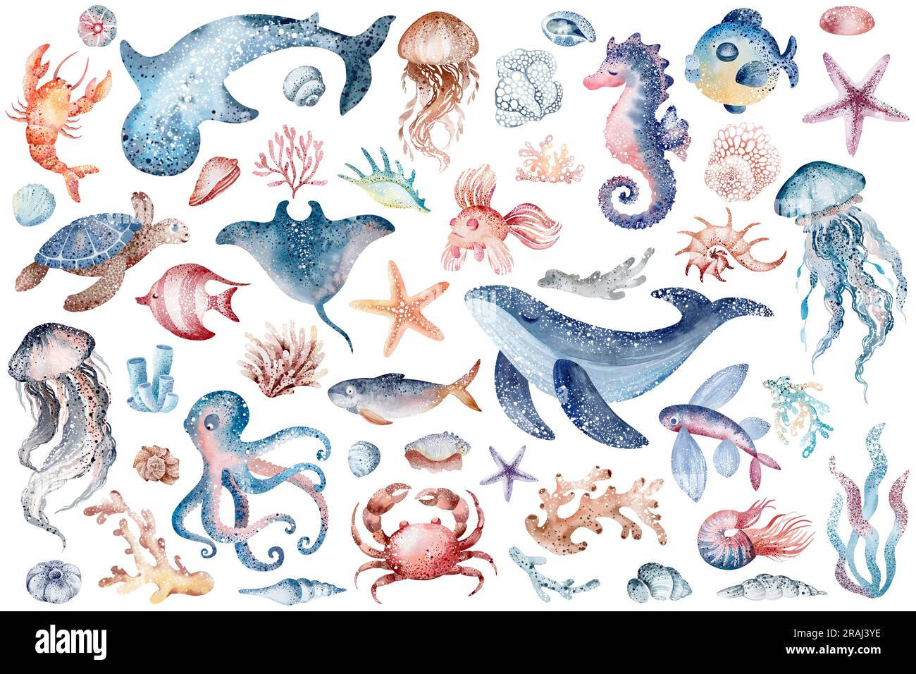 Serviette-poncho Microfibre Animaux Marins - Idéale Plage, Surf, Piscine - Capuche - Taille Enfant Et Adulte - Bleu