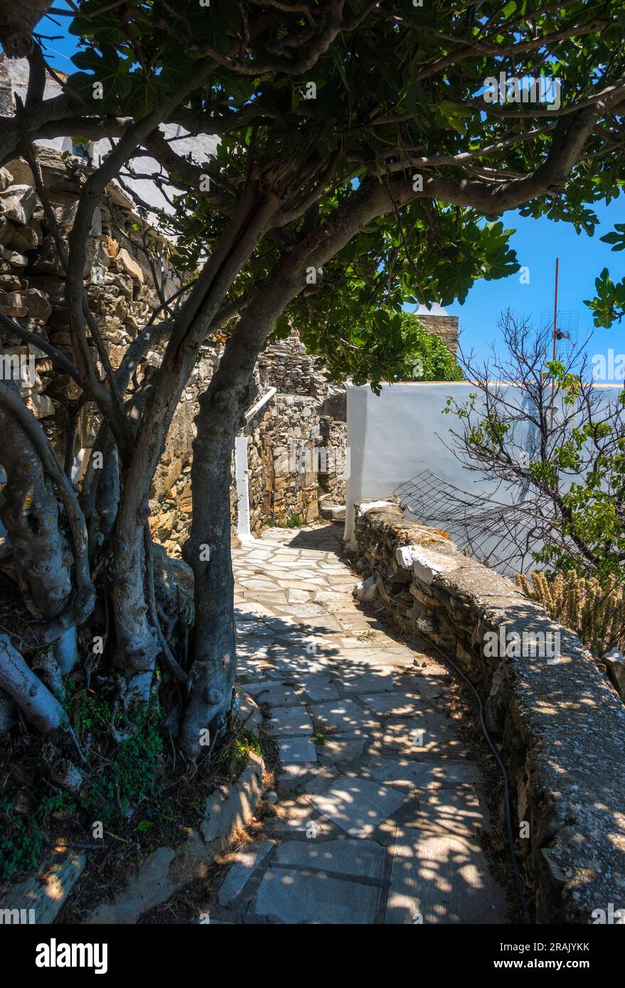 Une rue dans le village de Kardiani, Tinos. Banque D'Images