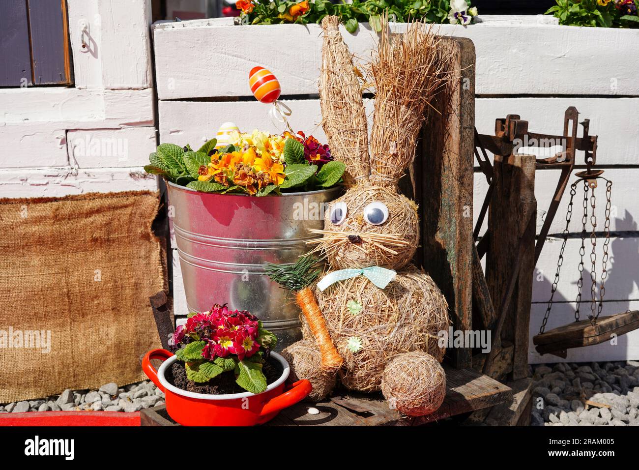 Décor de Pâques de printemps dans la cour. Fleurs et plantes en pots avec un grand lapin. Terrasse rustique. Véranda maison de campagne en décoration printanière Banque D'Images